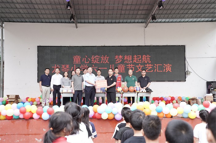 深入基层调研指导 共谋乡村振兴新篇——广西医科大学党委常委、副校长陈俊强带队赴马山县龙琴村开展调研走访活动 第 2 张