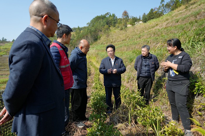 曾志羽校长带队到我院定点帮扶村马山县里当瑶族乡龙琴村开展乡村振兴调研慰问 第 5 张