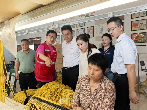 广西医科大学党委常委、副校长唐卫中带队赴龙琴村开展乡村振兴调研暨帮扶慰问活动 第 2 张