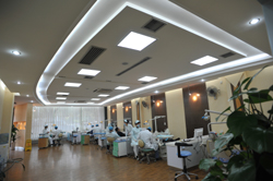 楼层分布 第 12 张