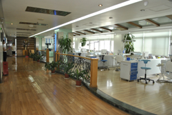 楼层分布 第 15 张