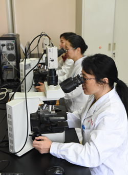 楼层分布 第 10 张