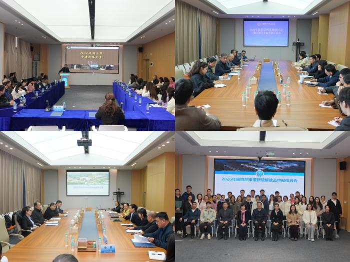 各分会场会议.jpg